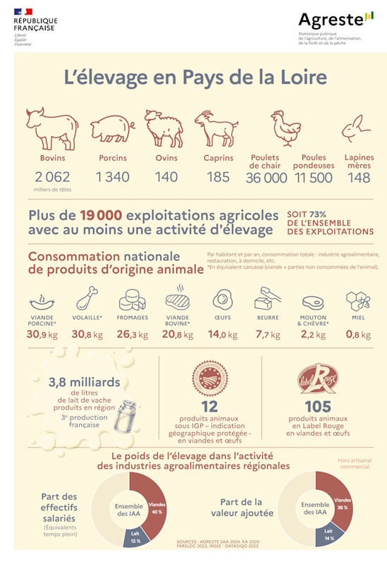 L'élevage en Pays de la Loire - voir la transcription ci-dessous