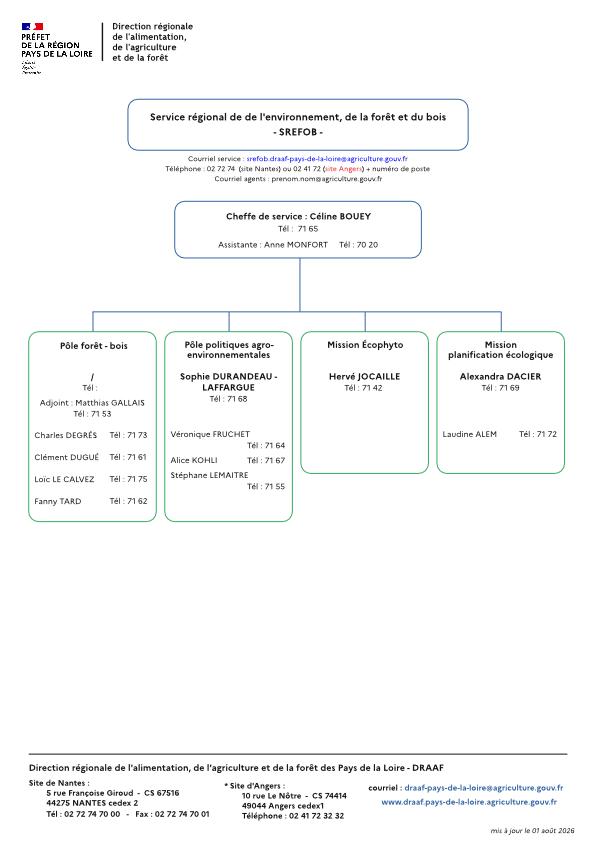 organigramme service régional environnement forêt bois de la DRAAF Pays de la Loire au 01 août 2026 - voir la transcription ci-dessous