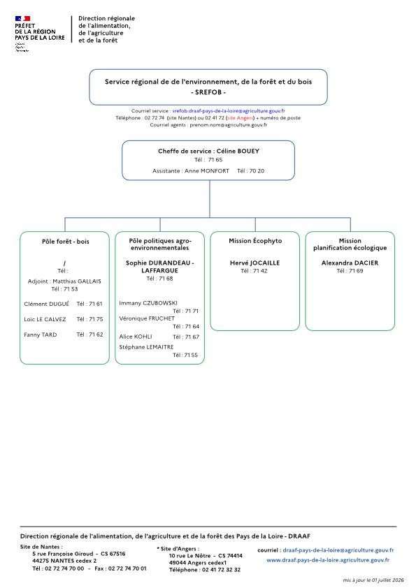 organigramme service régional environnement forêt bois de la DRAAF Pays de la Loire au 01 juillet 2026 - voir la transcription ci-dessous