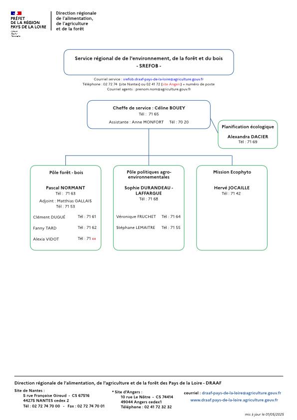organigramme service régional environnement forêt bois de la DRAAF Pays de la Loire au 1er mai 2025 - voir la transcription ci-dessous