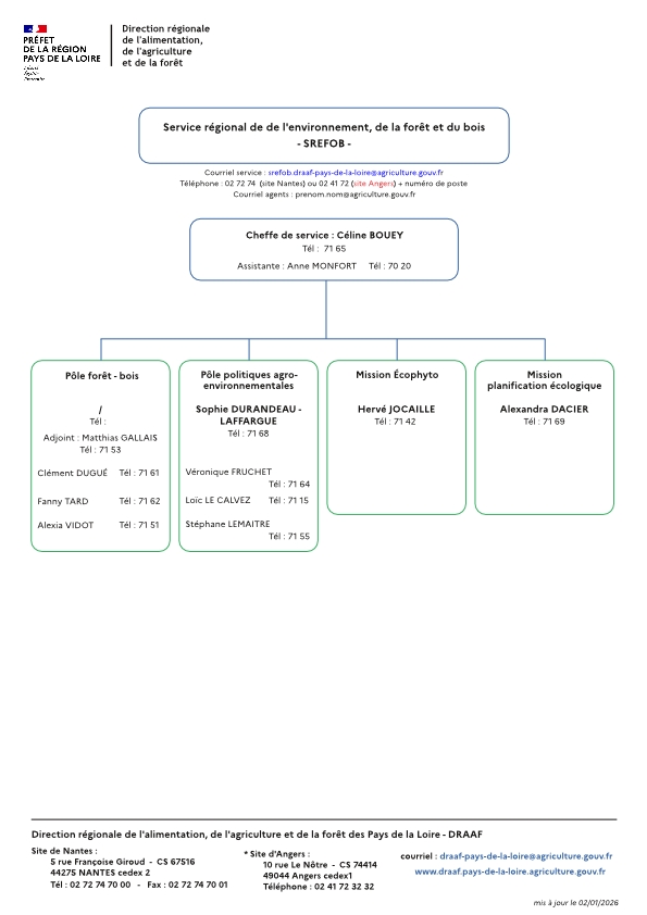 organigramme service régional environnement forêt bois de la DRAAF Pays de la Loire au 02 janvier 2026 - voir la transcription ci-dessous