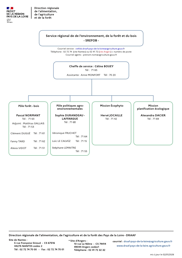 organigramme service régional environnement forêt bois de la DRAAF Pays de la Loire au 02 janvier 2026 - voir la transcription ci-dessous