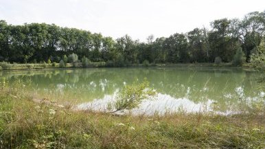 retenue d'eau dans un espace boisé