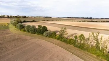vue aérienne d'une haie séparative en zone de grandes cultures