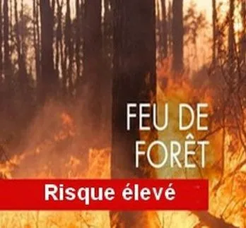 Titre : feu de forêt : risque élevé; image : forêt en feu
