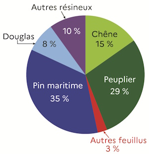 Le graphique 2 d&eacute;crit la part des essences de bois d'oeuvre r&eacute;colt&eacute;s en 2024 dans la r&eacute;gion des Pays de la Loire. Le pin maritime est la premi&egrave;re essence du bois d'&oelig;uvre r&eacute;colt&eacute; suivi du peuplier.