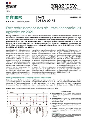 Image de la première page de l'étude sur le RICA 2021