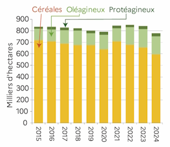 Le graphique 3 d&eacute;crit la superficie en c&eacute;r&eacute;ales, ol&eacute;agineux et prot&eacute;agineux dans la r&eacute;gion des Pays de la Loire de 2015 &agrave; 2024. La superficie en COP d&eacute;cro&icirc;t en 2024. 