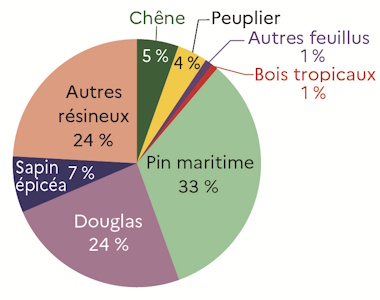Le graphique 6 d&eacute;crit la part des essences de bois sci&eacute;s par les &eacute;tablissements des Pays de la Loire en 2024. Les r&eacute;sineux constituent pr&egrave;s de 89% des sciages.