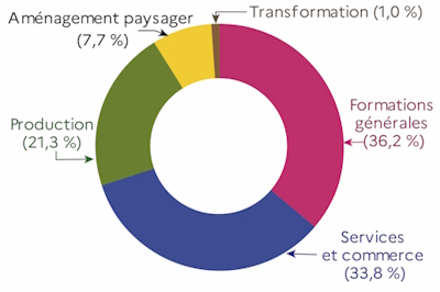 Dans la voie scolaire, 36,2&nbsp;% des effectifs ont opt&eacute; pour des formations g&eacute;n&eacute;rales, 33,8&nbsp;% sont inscrits dans le secteur des services et commerce, 21,3&nbsp;% sont dans le domaine de la production, 1&nbsp;% dans celui de la transformation et enfin, 7,7&nbsp;% des &eacute;l&egrave;ves ont choisi l'am&eacute;nagement paysager.