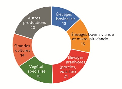 Ce graphique présente la répartition du volume de travail agricole en équivalent temps plein (ETP) par orientation technico-économique des exploitations en 2020 en Vendée. Les élevages granivores (porcins, volailles) dominent avec 21 % du volume total de travail, illustrant la spécialisation porcine et avicole du département. Le secteur végétal spécialisé représente 16 % du volume total de travail. Les élevages bovins viande et mixte lait-viande contribuent à 15 %. Les grandes cultures comptent pour 14 %. Enfin, les élevages bovins lait représentent 13 % du volume total de travail.
