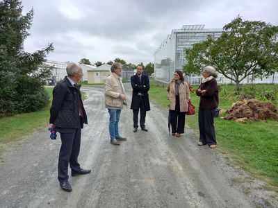 Devant les serres de l'Institut Agro d'Angers, de gauche à droite : Dominique VOLLET, directeur adjoint et directeur de la recherche de l'Institut Agro Rennes-Angers, Rémi GARDET, responsable du domaine pédagogique et expérimental, Pierre-Julien EYMARD, directeur départemental des territoires du Maine-et-Loire, Annick BAILLE, DRAAF des Pays de la Loire, Alessia LEFEBURE, directrice de l'Institut Agro Rennes-Angers