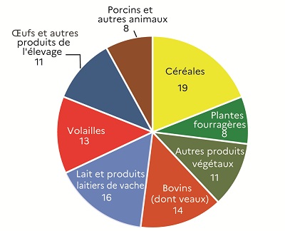 Ce graphique présente la répartition des productions agricoles (hors subventions) en 2023 en valeur en Sarthe. Les céréales dominent avec 19 % de la valeur de la production totale, confirmant l'importance des grandes cultures dans le département. L'élevage est bien représenté avec le lait et les produits laitiers de vache à 16 %, les bovins (dont veaux) à 14 %, les volailles à 13 %, les œufs et autres produits d'élevage à 11 %, et enfin les porcins et autres animaux à 8 %. Les autres produits végétaux comptent pour 11 %, tandis que les plantes fourragères pèsent 8 %.