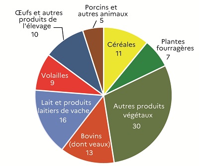 Ce graphique présente la répartition des productions agricoles (hors subventions) en 2023 en valeur en Maine-et-Loire. Les autres produits végétaux (notamment vins, fruits, légumes frais et fleurs) dominent avec 30 % de la valeur de la production totale. Le lait et les produits laitiers de vache occupent la deuxième place avec 16 %, suivis des bovins (dont les veaux) à 13 %. Les céréales contribuent à 11 % de la production. Les œufs (et autres produits d'élevage) et les volailles comptent pour 10 % et 9 %. Les plantes fourragères pèsent 7 %. Enfin, les porcins et autres animaux contribuent à 5 %.