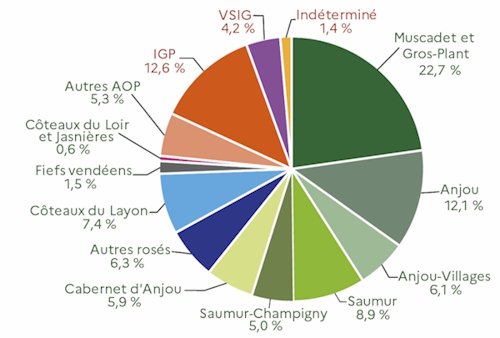 Le graphe illustre la part des principales appellations dans l'ensemble des surfaces viticoles des Pays de la Loire. Les appellations d'origine prot&eacute;g&eacute;es (AOP) occupent pr&egrave;s de 82 % des superficies totales. Les surfaces IGP (indication g&eacute;ographique prot&eacute;g&eacute;e) repr&eacute;sentent pr&egrave;s de 13 % du vignoble r&eacute;gional alors que le compl&eacute;ment (pr&egrave;s de 5%) est occup&eacute; par les vins sans indication g&eacute;ographique (VSIG). Les principales appellations r&eacute;gionales sont les suivantes : Muscadet et Gros-plant, Anjou, Saumur, C&ocirc;teaux du Layon, Cabernet d'Anjou ... sans oublier les fiefs vend&eacute;ens ainsi que les C&ocirc;teaux du Loir et le Jasni&egrave;res en Sarthe. Les donn&eacute;es mobilis&eacute;es sont issues de la base fonci&egrave;re 2024 du casier viticole informatis&eacute; (CVI) - source DGDDI.