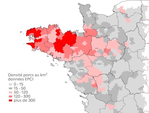 La carte décrit la densité de porc au km² en 2020, pour le quart grand Ouest de la France. Cette densité est plus importante dans les départements bretons.