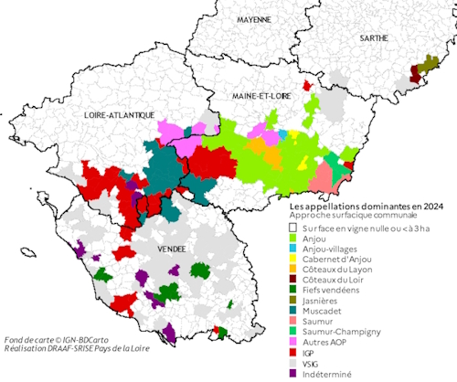 La carte 2 des appellations viti-vinicoles rencontr&eacute;es dans la r&eacute;gion des Pays de la Loire propose une repr&eacute;sentation des appellations dominantes pr&eacute;sentes dans les communes avec vignes. Les donn&eacute;es mobilis&eacute;es sont issues de la base fonci&egrave;re 2024 du casier viticole informatis&eacute; (CVI) - source DGDDI. Les principales appellations pr&eacute;sentes dans le Pays nantais, dans l'Anjou et dans le Saumurois sont repr&eacute;sent&eacute;es et localis&eacute;es, sans omettre les fiefs vend&eacute;ens et les appellations sarthoises.