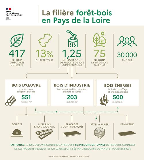 417000 ha de for&ecirc;ts,13% du territoire, 30000 emplois, 75 millions de m&egrave;tres cubes de bois sur pied, 1,25 million de m&egrave;tres cubes de r&eacute;colte de bois commercialis&eacute;s. Parmi ceux-ci : 551000 m&egrave;tres cubes de bois d'oeuvre (grumes pour sciage et placage), 203000 m&egrave;tres cubes de bois d'industrie (bois de trituration, poteaux, piquets et autres), 500000 m&egrave;tres cubes de bois &eacute;nergie (bois de chauffage et charbon de bois). En France, le bois d'oeuvre contribue &agrave; produire 8,2 millions de tonnes de produits connexes, de coproduits (plaquettes ou sciures) utilis&eacute;s par l'industrie du papier et pour l'&eacute;nergie. Sources : DRAAF Pays de la Loire, donn&eacute;es 2023. Edition mai 2026