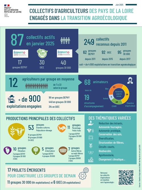 87 collectifs actifs en janvier 2025 : 17 groupes D&Eacute;PHY, 40 groupes 30000, 30 groupements d'int&eacute;r&ecirc;t &eacute;conomique et environnemental (GIEE). 249 collectifs reconnus depuis 2011 :62 groupes D&Eacute;PHY depuis 2011, 92 GIEE depuis 2015, 95 groupes 30000 depuis 2017, soit plus de 4000 exploitations en transition agro&eacute;cologique. 12 agriculteurs par groupe en moyenne, 68 animateurs issus de 19 structures : r&eacute;seau des centres d'initiatives pour valoriser l'agriculture et le milieu rural (CIVAM), r&eacute;seau des groupements d'agriculture biologique (GAB), chambre d'agriculture et autres. Principales production des collectifs&nbsp;: grandes cultures et polyculture-&eacute;levage (53 groupes), viticulture (10 groupes), arboriculture (5 groupes), mara&icirc;chage et petits fruits (11 groupes), autres fili&egrave;res ou multifili&egrave;res (7 groupes). Des th&eacute;matiques vari&eacute;es : r&eacute;duction des intrants, autonomie fourrag&egrave;re, autonomie prot&eacute;ique, conservation des sols, diversification, structuration de fili&egrave;res, circuits courts, biodiversit&eacute;, agroforesterie, changement climatique. 17 projets &eacute;mergents pour construire les projets de demain : 11 groupes 30000 (64 exploitations) et 6 GIEE (39 exploitations) Sources de l'infographie&nbsp;: Chambre d'agriculture de r&eacute;gion et DRAAF des Pays de la Loire. Edition juin 2025