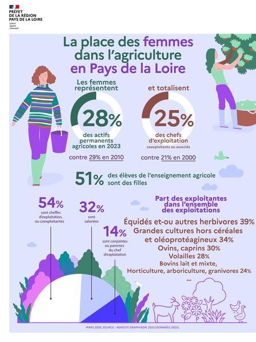 Les femmes repr&eacute;sentent 28% des actifs permanents agricoles (en 2023, contre 29% en 2010), et totalisent 25% des chefs d'exploitations, coexploitants ou associ&eacute;s (contre 21% en 2000). 51% des &eacute;l&egrave;ves de l'enseignement agricole sont des filles. 54% des femmes sont cheffes d'exploitations ou coexploitantes, 32% sont salari&eacute;es, 14% sont conjointes ou parentes du chef d'exploitation. La part des exploitantes est de 39% dans les exploitations d'&eacute;quid&eacute;s ou autres herbivores, de 34% dans les exploitations de grandes cultures (hors c&eacute;r&eacute;ales et ol&eacute;oprot&eacute;agineux, de 30% dans les exploitations d'ovins et caprins, de 28% dans les exploitations de volailles, et de 24% dans les exploitations de bovins lait et mixtes, d'horticulture, d'arboriculture et de granivores. Edition mars 2026. Sources : Agreste Graphagri 2025 (donn&eacute;es 2023)