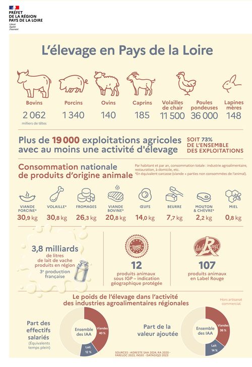 Principales productions animales en Pays de la Loire : 2062000 bovins, 1340000 porcins, 140000 ovins, 185000 caprins, 11500000 volailles de chair, 36 millions de poules pondeuses, 148000 lapines m&egrave;res. Plus de 19000 exploitations agricoles ont au moins une activit&eacute; d'&eacute;levage, soit 73% de l'ensemble des exploitations. La consommation nationale annuelle totale de produits d'origine animale, par habitant, est de 30,9 Kg de viande porcine, de 30,8 Kg de volailles, de 26,3 Kg de fromages, de 20,8 Kg de viande bovine, de 14 Kg d'oeufs, de 7,7 Kg de beurre, de 2,2 Kg de viande de mouton et de ch&egrave;vre, et de 0,8 Kg de miel. La r&eacute;gion des Pays de la Loire produit annuellement 3,8 milliards de litres de lait de vache. Elle compte 12 produits animaux sous indication g&eacute;ographique prot&eacute;g&eacute;e (IGP) et 107 produits animaux sous label Rouge. Le poids de l'&eacute;levage dans l'activit&eacute; des industries agroalimentaires r&eacute;gionales (hors artisanat commercial) se caract&eacute;rise par 52% des effectifs salari&eacute;s (40% viandes et 12% lait), et par une valeur ajout&eacute;e de 50% (36% viandes et 14% lait). Sources : Agreste statistique annuelle agricole 2024, recensement agricole 2020, FARELOC 2023, INSEE - DATASIQO 2023 