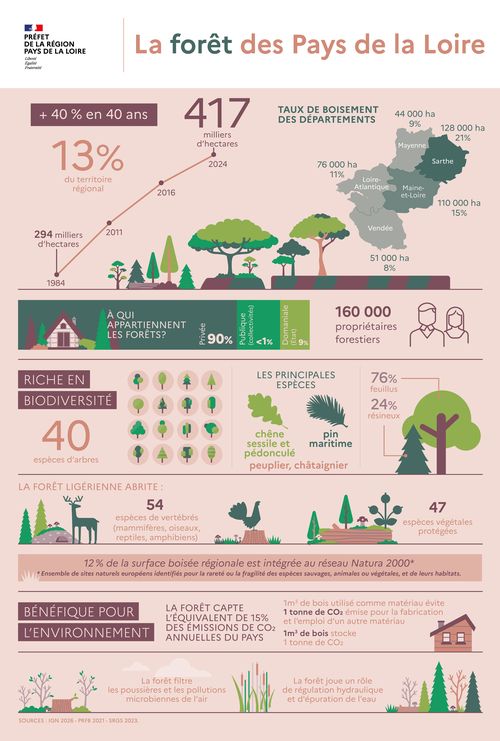 La for&ecirc;t des Pays de la Loire couvre 13% du territoire r&eacute;gional. De 1984 &agrave; 2024, elle est pass&eacute;e de 294000 hectaures &agrave; 417000 hectares (+40%). Taux de boisement des d&eacute;partements : Loire-Atlantique 76000 ha (11%), Maine-et-Loire 110000 ha (15%), Mayenne 44000 ha (9%), Sarthe 128000 ha (21%), Vend&eacute;e 51 000 ha (8%). Avec 160000 propri&eacute;taires forestiers, la for&ecirc;t est &agrave; 90% priv&eacute;e, &agrave; 9% domaniale (Etat), et publique (collectivit&eacute;s) pour 1%. Riche en diversit&eacute;, la for&ecirc;t r&eacute;gionale abrite 40 esp&egrave;ces d'arbres, dont les principales sont les ch&ecirc;nes sessiles et p&eacute;doncul&eacute;s, le pin maritime, le peuplier et le ch&acirc;taigner. Elle se compose de 76% de feuillus et 24% de r&eacute;sineux. La for&ecirc;t lig&eacute;rienne abrite 54 esp&egrave;ces de vert&eacute;br&eacute;s (mammif&egrave;res, oiseaux, reptiles, amphibiens) et 47 esp&egrave;ces v&eacute;g&eacute;tales prot&eacute;g&eacute;es. 12 % de la surface bois&eacute;e r&eacute;gionale est int&eacute;gr&eacute;e au r&eacute;seau Natura 2000, l'ensemble des sites naturels europ&eacute;ens identifi&eacute;s pour la raret&eacute; ou la fragilit&eacute; des esp&egrave;ces sauvages, animales ou v&eacute;g&eacute;tales, et de leurs habitats. B&eacute;n&eacute;fique pour l'environnement, la for&ecirc;t capte l'&eacute;quivalent de 15% des &eacute;missions de dioxide de carbone annuelles du pays; ainsi, 1 m&egrave;tre cube de bois utilis&eacute; comme mat&eacute;riau &eacute;vite 1 tonne de dioxide de carbone &eacute;mise pour la fabrication et l'emploi d'un autre mat&eacute;riau, et 1 m&egrave;tre cube de bois stocke 1 tonne de dioxide de carbone. En outre, la for&ecirc;t filtre les poussi&egrave;res et les pollutions microbiennes de l'air, joue un r&ocirc;le de r&eacute;gulation hydraulique et d'&eacute;puration de l'eau.