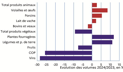 Graphique 4 : le volume de la production agricole fléchit (- 1,6 %) tiré par la chute des disponibilités végétales (- 9,3 %) Le graphique décrit l'évolution entre 2023 et 2024 des volumes des productions agricoles. A l'exception des bovins (-2,2%), les volumes progressent pour la plupart des productions animales (volailles et oeufs, porcins, lait de vache) et donc pour le total animal (+2,7%). A l'inverse, les volumes fléchissent quasiment pour tous les végétaux (vins, fruits, céréales) et donc pour le total végétal (-9,3%), à l'exception des postes légumes frais et fourrages.