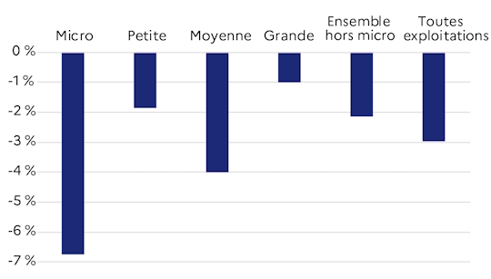 Le graphique 1 d&eacute;crit l'&eacute;volution annuelle moyenne du nombre d'exploitations par taille &eacute;conomique. Les micro-exploitations conna&icirc;ssent la d&eacute;croissance la plus forte : - 6,7 %.