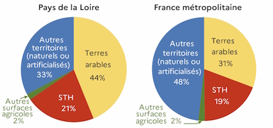 Les graphes "R&eacute;partition de la superfie en 2024" montrent que les sols agricoles occupent 67 % du territoire des Pays de la Loire contre 52 % &agrave; l'&eacute;chelle m&eacute;tropolitaine. Les surfaces compl&eacute;mentaires (respectivement 33 % et 48 %) sont occup&eacute;es par des espaces naturels et bois&eacute;s ou par des surfaces artificialis&eacute;es. Si les surfaces toujours en herbe (STH) occupent de l'ordre de 20 % des sols au sein des deux terrritoires compar&eacute;s, les terres arables sont sensiblement plus fr&eacute;quentes dans les Pays de la Loire (44 % du territoire r&eacute;gional) qu'&agrave; l'&eacute;chelon national (31 %). 