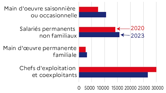 Le graphique 4 d&eacute;crit la r&eacute;partition du volume de travail (en ETP) par type de main d'oeuvre. Le nombre d'exploitants et coexploitants se r&eacute;duit au profit du nombre de salari&eacute;s permanents et occasionnels.
