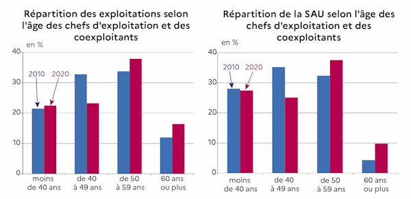 La r&eacute;partition des exploitations selon l'&acirc;ge des chefs d'exploitation et coexploitants montre un vieillissement de la population agricole entre 2010 et 2020. La part des exploitants de 50 ans ou plus augmente fortement, passant de 46&nbsp;% &agrave; 54&nbsp;% en dix ans. La part des exploitants de 50 &agrave; 59 ans progresse de 34&nbsp;% &agrave; 38&nbsp;% et celle des 60 ans ou plus de 12&nbsp;% &agrave; 16&nbsp;%. La part des moins de 40 ans reste stable (22&nbsp;%). En revanche, la tranche d'&acirc;ge interm&eacute;diaire des 40 &agrave; 49 ans diminue fortement, passant de 33&nbsp;% &agrave; 23&nbsp;% entre 2010 et 2020. La r&eacute;partition de la surface agricole utilis&eacute;e (SAU) selon l'&acirc;ge des chefs d'exploitation et des coexploitants montre une concentration des terres chez les agriculteurs les plus &acirc;g&eacute;s entre 2010 et 2020. Les exploitants de 50 ans ou plus contr&ocirc;lent 47&nbsp;% de la SAU en 2020, contre 37&nbsp;% en 2010. La part de la SAU d&eacute;tenue par les exploitants de 50 &agrave; 59 ans progresse nettement, passant de 32&nbsp;% &agrave; 38&nbsp;%. Celle des 60 ans ou plus double, passant de 4&nbsp;% &agrave; 10&nbsp;%. &Agrave; l'inverse, la part attribu&eacute;e aux 40-49 ans baisse fortement, de 35&nbsp;% &agrave; 25&nbsp;%, tandis que celle des moins de 40 ans reste stable &agrave; 28&nbsp;%. 