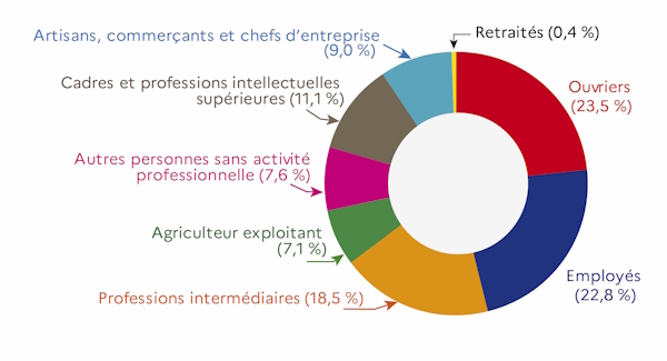 Ce graphique illustre la r&eacute;partition des effectifs en voie scolaire &agrave; la rentr&eacute;e 2025 selon leur cat&eacute;gorie socio-professionnelle, &agrave; savoir ouvriers pour 23,5&nbsp;%, employ&eacute;s pour 22,8&nbsp;%, professions interm&eacute;diaires pour 18,5&nbsp;%, agriculteur-exploitant pour 7,1&nbsp;%, artisans-commer&ccedil;ants et chefs d'entreprise pour 9&nbsp;%, cadres et professions intellectuelles sup&eacute;rieures pour 11,1&nbsp;% et enfin, sans activit&eacute; professionnelle pour 7,6&nbsp;%.