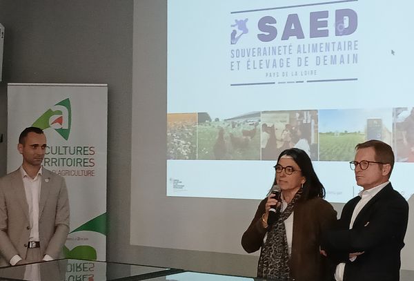 Les animateurs de la conférence inaugurale du salon Tech Élevage : Jordy Bouancheau, président du salon, Annick Baille, DRAAF Pays de la Loire, Olivier Lebert, président de la chambre d'agriculture de région