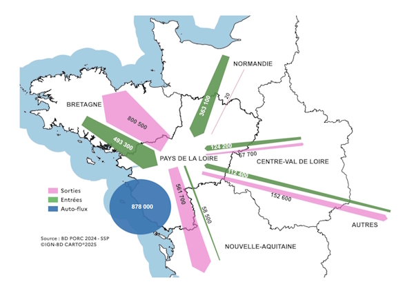 La carte 3 décrit les mouvements de porcs entre régions, qui implique la région des Pays de la Loire en 2024. Seuls 36% des porcs élevés en Pays de la Loire sont abattus dans la région. 
