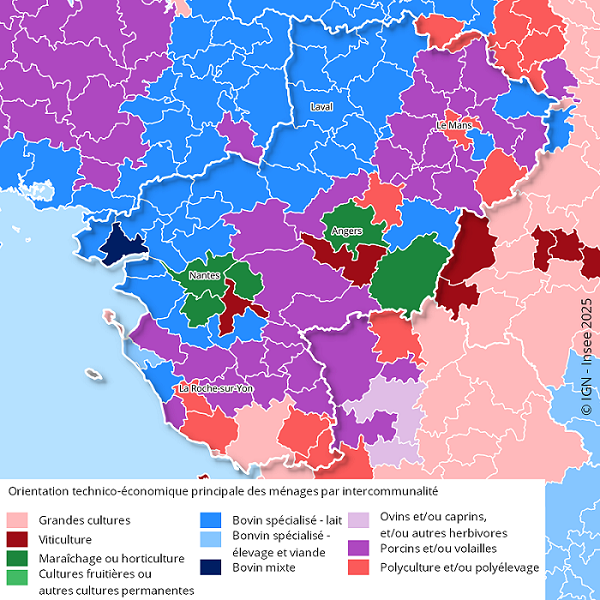 Orientation technico-économique principale des exploitations des ménages en 2020 par intercommunalité La carte présente l'orientation technico-économique principale des exploitations des ménages, par intercommunalité dans les Pays de la Loire et les intercommunalités limitrophes. Elle permet de mettre en avant l'importance de la filière bovine (lait, élevage et viande, mixte) et porcine / volaille dans la région.