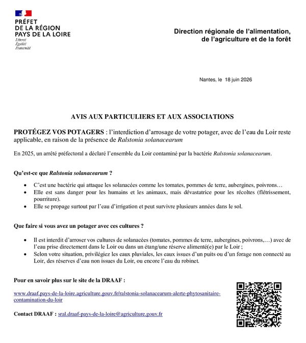 PROT&Eacute;GEZ VOS POTAGERS&nbsp;: l'interdiction d'arrosage de votre potager, avec de l'eau du Loir reste applicable, en raison de la pr&eacute;sence de Ralstonia solanacearum. En 2025, un arr&ecirc;t&eacute; pr&eacute;fectoral a d&eacute;clar&eacute; l'ensemble du Loir contamin&eacute; par la bact&eacute;rie&nbsp;Ralstonia solanacearum. Qu'est-ce que Ralstonia solanacearum&nbsp;? C'est une bact&eacute;rie qui attaque les solanac&eacute;es comme les tomates, pommes de terre, aubergines, poivrons. Elle est sans danger pour les humains et les animaux, mais d&eacute;vastatrice pour les r&eacute;coltes (fl&eacute;trissement, pourriture). Elle se propage surtout par l'eau d'irrigation et peut survivre plusieurs ann&eacute;es dans le sol. Que faire si vous avez un potager avec ces cultures&nbsp;? Il est interdit d'arroser vos cultures de solanac&eacute;es (tomates, pommes de terre, aubergines, poivrons&hellip;) avec de l'eau prise directement dans le Loir ou dans un &eacute;tang ou une r&eacute;serve aliment&eacute;s par le Loir&nbsp;; Selon votre situation, privil&eacute;giez les eaux pluviales, les eaux issues d'un puits ou d'un forage non connect&eacute; au Loir, des r&eacute;serves d'eau non issues du Loir, ou encore l'eau du robinet. Contact DRAAF&nbsp;: sral.draaf-pays-de-la-loire@agriculture.gouv.fr