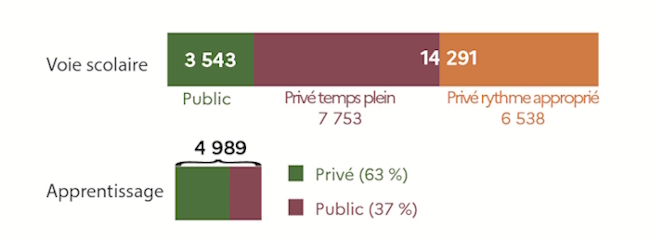 A la rentr&eacute;e 2025, 4989 &eacute;l&egrave;ves ont choisi la voie de l'apprentissage, dont 63% dans le priv&eacute; et 37% dans le public. La voie scolaire recense 17834 &eacute;l&egrave;ves dont 3543 dans le public et 14291 &eacute;l&egrave;ves dans le priv&eacute;. Parmi ce 14291 &eacute;l&egrave;ves, 7753 sont &agrave; temps plein et 6538 ont opt&eacute; pour un enseignement avec un rythme appropri&eacute;.
