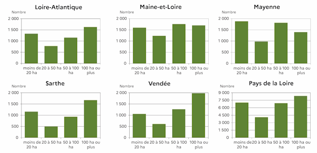 Le graphe propose pour la r&eacute;gion et ses cinq d&eacute;partements, &agrave; partir des donn&eacute;es du recensement agricole 2020, la r&eacute;partition du nombre d'exploitations par classes de dimension de SAU (moins de 20 ha, de 20 &agrave; 50, de 50 &agrave; 100 et 100 ha ou plus). Pour la r&eacute;gion dans son ensemble, la modalit&eacute; "100 ha ou plus" domine alors que la classe "20 &agrave; 50 ha" est la moins repr&eacute;sent&eacute;e. 