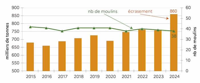 Le graphique 12 d&eacute;crit les mises en &oelig;uvre de bl&eacute; tendre de 2015 &agrave; 2024 en milliers de tonnes. L'ann&eacute;e 2024 a connu une bonne activit&eacute;.