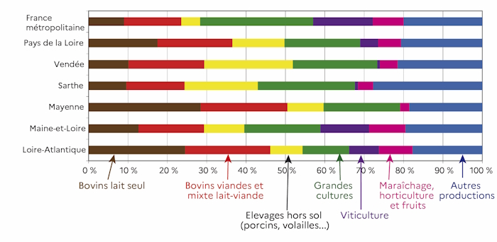 Le graphique illustre la proportion des exploitations selon leur sp&eacute;cialisation (bovins lait seul, bovins viandes et mixte lait-viande, &eacute;levages hors sol, grandes cultures, viticulture, mara&icirc;chage-horticulture-fruits, autres productions), par d&eacute;partement, pour la r&eacute;gion des Pays de la Loire et pour la France m&eacute;tropolitaine. La r&eacute;gion se distingue par sa grande diversit&eacute; et une r&eacute;partition relativement &eacute;qulibr&eacute;e entre les productions (&agrave; l'exception des exploitations mara&icirc;ch&egrave;res et viticoles moins nombreuses). La moiti&eacute; des exploitations lig&eacute;riennes sont sp&eacute;cialis&eacute;es dans les productions animales et l'autre moiti&eacute; dans les productions v&eacute;g&eacute;tales. A titre de comparaison, au niveau France, 75 % des exploitations sont orient&eacute;es vers des productions v&eacute;g&eacute;tales. Si les d&eacute;partements de la Mayenne, la Vend&eacute;e ou la Loire-Atlantique montrent une pr&eacute;dominance plus ou moins marqu&eacute;e dans les productions animales, les exploitations du Maine et Loire et de la Sarthe sont plut&ocirc;t sp&eacute;cialis&eacute;es dans les productions v&eacute;g&eacute;tales.