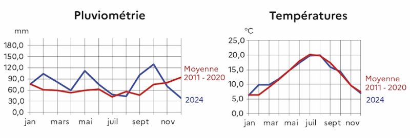 Le graphique des moyennes r&eacute;gionales de pluviom&eacute;trie d&eacute;crit les moyennes mensuelles de l'ann&eacute;e 2024 au regard des moyennes mensuelles des ann&eacute;es 2011 &agrave; 2020. L'ann&eacute;e 2024 a &eacute;t&eacute; particuli&egrave;rement pluvieuse par rapport &agrave; la moyenne d&eacute;cennale. Le graphique des moyennes r&eacute;gionales de temp&eacute;rature d&eacute;crit les moyennes mensuelles de l'ann&eacute;e 2024 au regard des moyennes mensuelles des ann&eacute;es 2011 &agrave; 2020. L'ann&eacute;e 2024 &agrave; &eacute;t&eacute; conforme &agrave; la moyenne d&eacute;cennale.