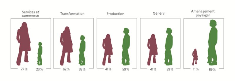 L'illustration repr&eacute;sente la proportion de filles et de gar&ccedil;ons dans l'enseignement agricole, en voie initiale scolaire, &agrave; la rentr&eacute;e 2025 selon le secteur enseign&eacute;. Ainsi, les filles repr&eacute;sentent 77&nbsp;% des effectifs dans le secteur des services et commerce, 62&nbsp;% des effectifs dans le secteur de la transformation, 41&nbsp;% des effectifs dans le secteur de la production et dans les formations g&eacute;n&eacute;rales et enfin, 11&nbsp;% des effectifs dans le secteur de l'am&eacute;nagement paysager.