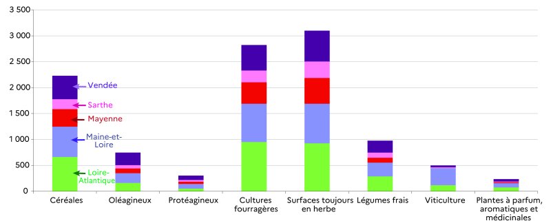 Ce graphique représente la répartition des exploitations bio par type de production végétale et par département en 2023. Les surfaces toujours en herbe et les cultures fourragères dominent (avec 3100 et 2800 exploitations), reflétant l'importance de l'élevage dans la région. La Loire-Atlantique possède le plus grand nombre d'exploitations biologiques. Le Maine-et-Loire concentre aussi un grand nombre d'exploitations bio, tandis que la Sarthe présente généralement les nombres les plus bas. Globalement, les céréales sont une production importante dans tous les départements (en troisième position avec 2200 exploitations). Les légumes frais, les oléagineux et la viticulture sont présents dans 1000, 700 et 500 exploitations. Le nombre d'exploitations avec des protéagineux et des ppam est plus faible (300 et 200 exploitations).
