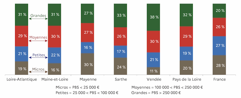En 2020, la r&eacute;partition des exploitations selon leur dimension &eacute;conomique montre une surrepr&eacute;sentation des grandes exploitations dans les Pays de la Loire par rapport &agrave; la moyenne nationale. Dans la r&eacute;gion, les exploitations de grande taille (PBS&nbsp;>&nbsp;250&nbsp;000&nbsp;&euro;) sont surrepr&eacute;sent&eacute;es (32&nbsp;% du total r&eacute;gional contre 20&nbsp;% du total en France), avec un pic en Vend&eacute;e (38&nbsp;%). &Agrave; l'inverse, la proportion de micro-exploitations (PBS&nbsp;<&nbsp;25&nbsp;000&nbsp;&euro;) y est plus faible (20&nbsp;% contre 28&nbsp;% en France). La Mayenne se distingue par 30&nbsp;% de micro-exploitations, tandis que la Vend&eacute;e n'en compte que 11&nbsp;%. De m&ecirc;me les petites exploitations (PBS de 25&nbsp;000 &agrave; 100&nbsp;000&nbsp;&euro;) sont moins nombreuses (19&nbsp;% contre 27&nbsp;% au niveau national). La part des exploitations moyennes (PBS de 100&nbsp;000&nbsp;&agrave; 250&nbsp;000&nbsp;&euro;) reste proche de la moyenne nationale (29&nbsp;% contre 26&nbsp;%). 