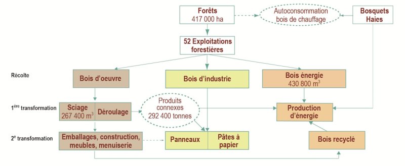Le graphique 7 d&eacute;crit les flux de bois en 2024 en Pays de la Loire de la r&eacute;colte aux &eacute;tapes de transformation.