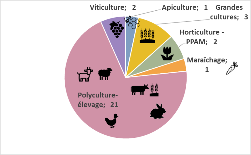 graphique "camembert" des orientations technico-économiques des GIEE en Pays de la Loire : 21 GIEE en polyculture-élevage, 2 en viticulture, 1 en apiculture, 3 en grandes cultures, 2 en horticulture, plantes à parfums, aromatiques et médicinales, un en maraichage