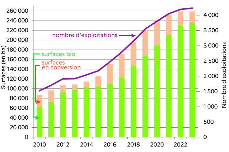 Ce graphique représente l'évolution du nombre d'exploitations et des surfaces agricoles bio entre 2010 et 2023 en Pays de la Loire. Les Pays de la Loire connaissent une forte croissance de l'agriculture biologique. Le nombre d'exploitations bio est de 4232 en 2023. La croissance est marquée entre 2016 et 2021 (de 240 à 390 nouvelles exploitations par an). En 2023, le nombre d'exploitations n'augmente que de 40 unités, contre une hausse de 146 exploitations en 2022. En 2023, l'ensemble des surfaces certifiées bio et en cours de conversion totalisent 258750 hectares, soit le triple de la surface de 2010. Les surfaces bio atteignent 235105 hectares en 2023. En 2023, la superficie bio n'augmente que de 6000 hectares, contre une hausse de 18700 hectares en 2022. Les surfaces en conversion diminuent en 2022 et en 2023.