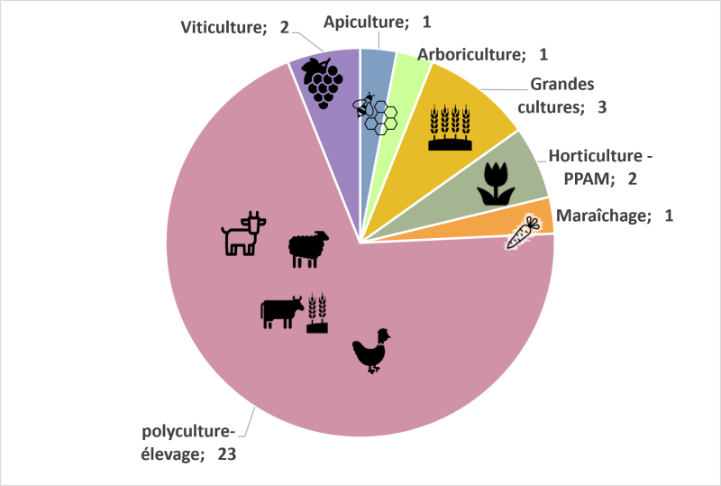 Graphique en secteurs repr&eacute;sentant la r&eacute;partition des GIEE par fili&egrave;re : 23 GIEE en polyculture-&eacute;levage; 2 GIEE en viticulture; 1 GIEE en apiculture; 1 GIEE en arboriculture; 3 GIEE en grandes cultures; 2 GIEE en horticultures-PPAM (plantes &agrave; partfum, aromatiques et m&eacute;dicinales); 1 GIEE en mara&icirc;chage