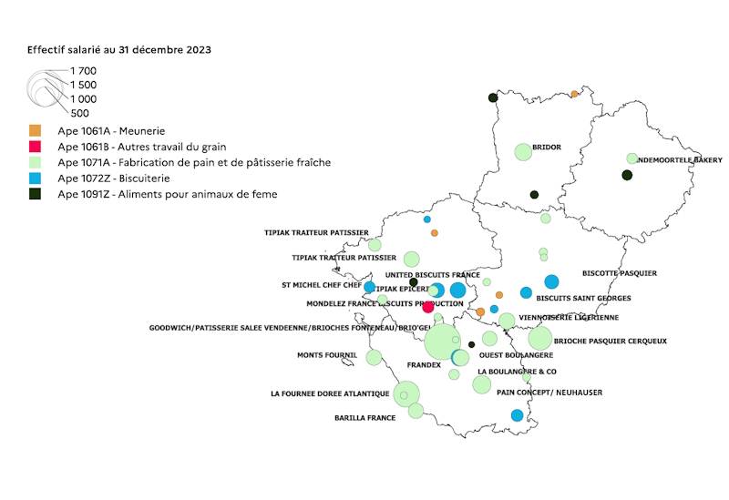 La carte 3 d&eacute;crit la taille des &eacute;tablissements IAA de transformation des c&eacute;r&eacute;ales et ol&eacute;oprot&eacute;agineux par nombre de salari&eacute;s par commune dans les Pays de la Loire au 31/12/2023. Les activit&eacute;s de meunerie, autre travail du grain, fabrication de pains et de p&acirc;tisseries fra&icirc;ches, la biscuiterie et les aliments pour animaux de ferme sont repr&eacute;sent&eacute;s. Seuls les &eacute;tablissements dont l'effectif est sup&eacute;rieur &agrave; 50 sont visualis&eacute;s et les raisons sociales affich&eacute;es &agrave; plus de 150 salari&eacute;s. 