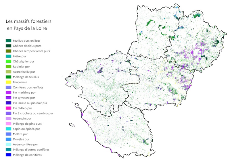 La carte d&eacute;crit l'emplacement des massifs forestiers dans la r&eacute;gion des Pays de la Loire par essence d'arbre.